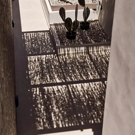 Appart hôtel Sea Zante Luxury Beachfront Retreat Tragaki